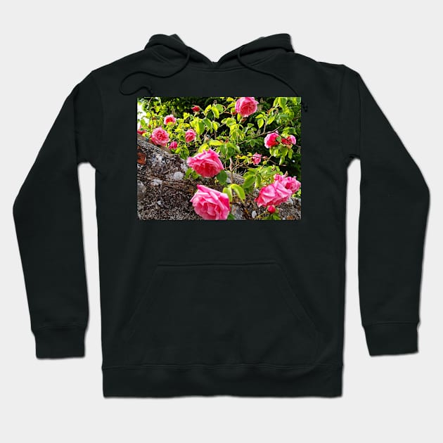 Wild Roses Hoodie by Ludwig Wagner